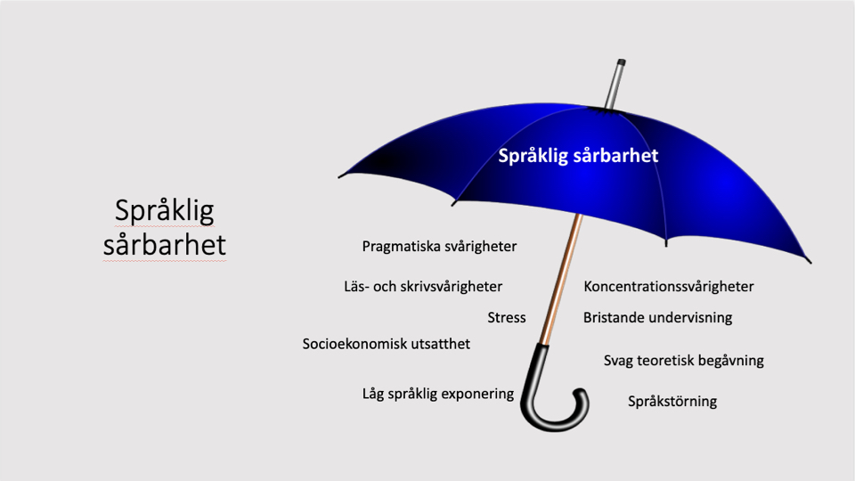 Ett paraply med begrepp kring språklig sårbarhet och dess innebörd under. 