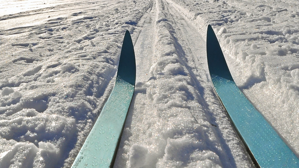 Skidspetsar på längdskidor i soligt skidspår
