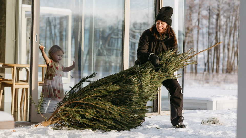 En kvinna i vinterkläder släpar ut en julgran från ett hus. Ett barn står i fönstret och tittar.