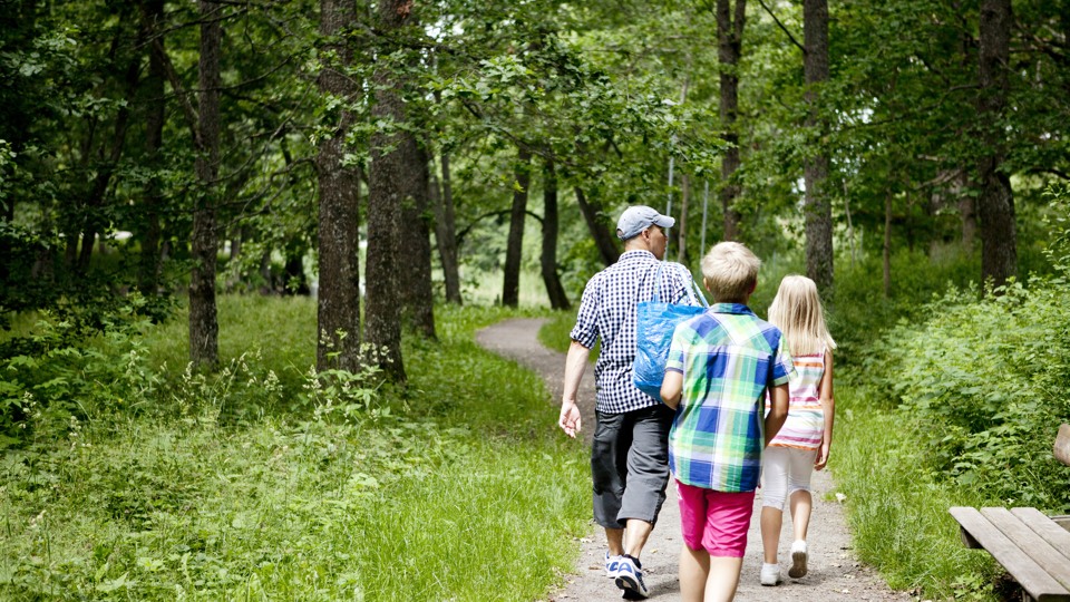 Man och två barn går på en stig i ett lummigt landskap