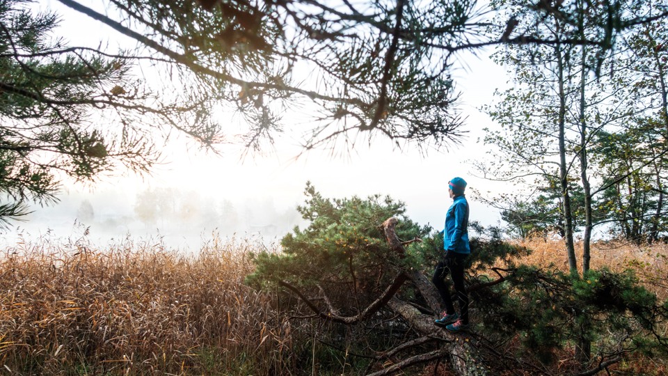 Bilden visar en person i sportiga kläder som står och blickar ut i naturen. Personen står på en stam på en rotvälta och ser ut över vassen och havet.