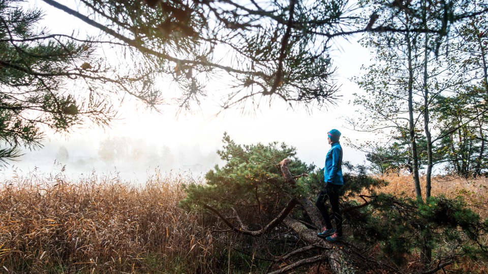 Bilden visar en person i sportiga kläder som står och blickar ut i naturen. Personen står på en stam på en rotvälta och ser ut över vassen och havet.