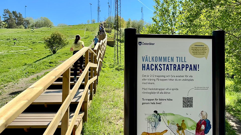 En lång trätrappa uppför en gräsbacke.