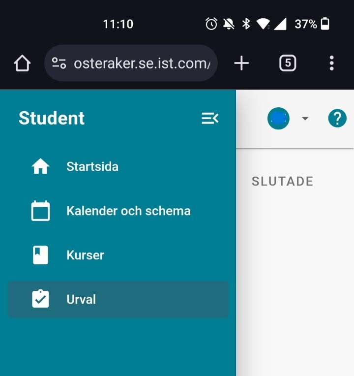 Bild på startsidan för appen IST Home
