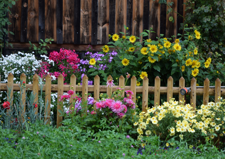 En prunkande rabatt med många olika sorts blommor.