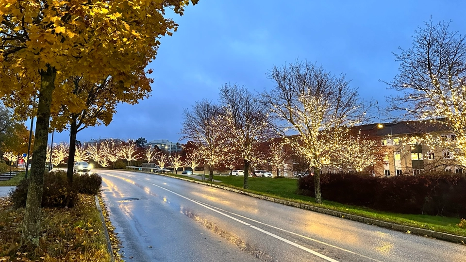 Vinterbelysning i träd längs Norrgårdsvägen nära väg 276 i Åkresberga.