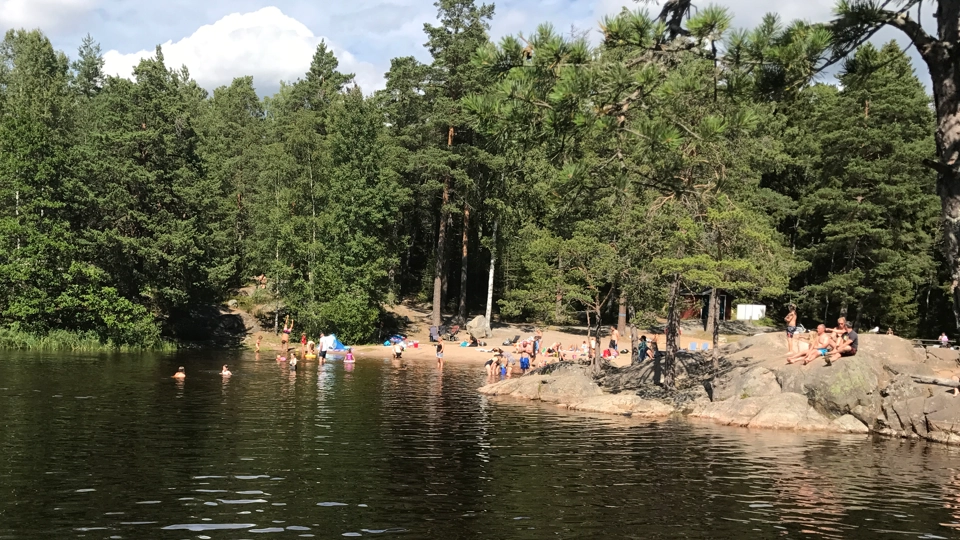Ett vattendrag med människor som simmar i den.