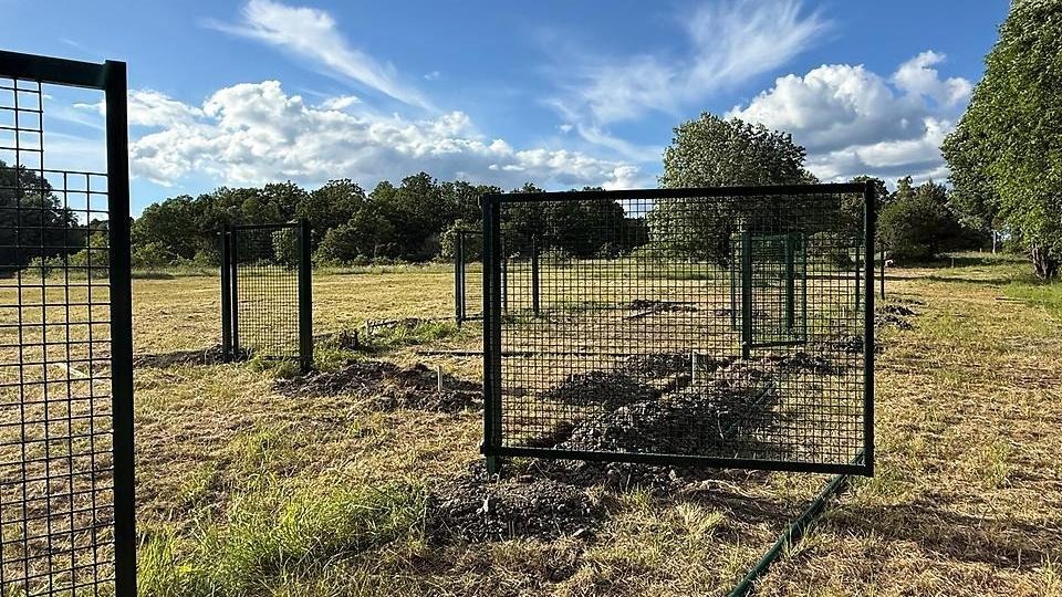 Staket på ett stort grönt fält