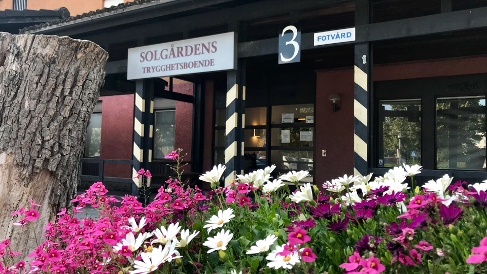 Lila blommor framför ett hus där det står Solgården.