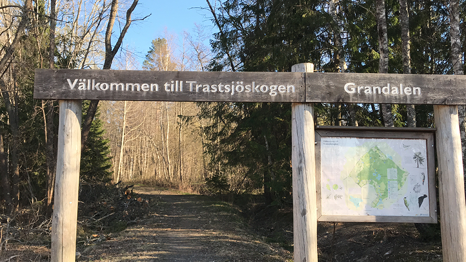 En portal till en naturstig. Överst står "Välkommen till Trastsjöskogen".