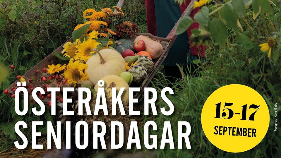 En skottkärra i trä fylld med frukter och grönsaker.