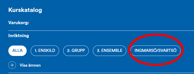 En skärmdump som visar Ingmarsö/Svartsö.