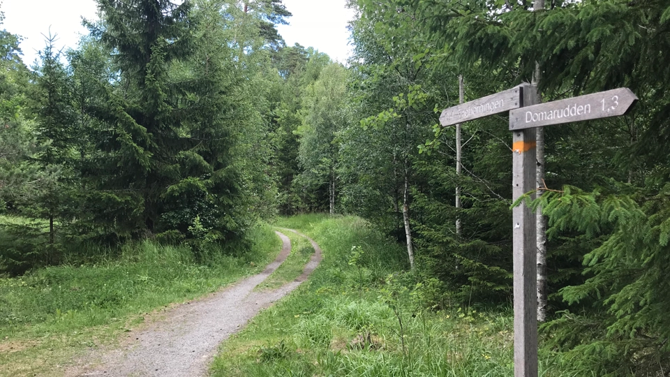 Ett motionsspår