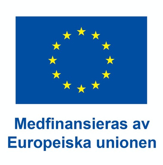EU logotyp, med texten "Medfinansieras av Europeiska unionen"