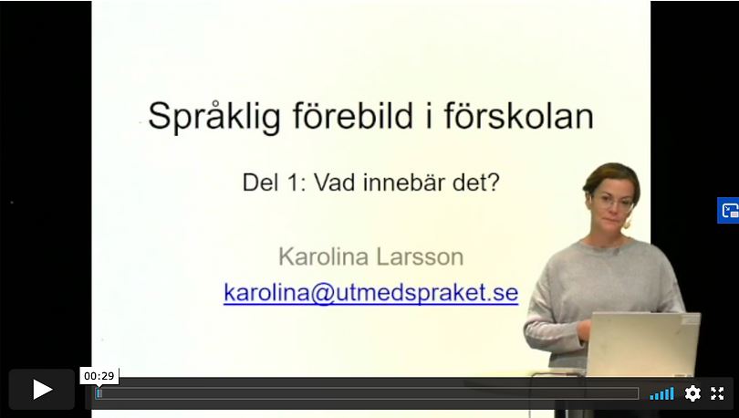 Bild på Karolina Larsson som föreläser digitalt
