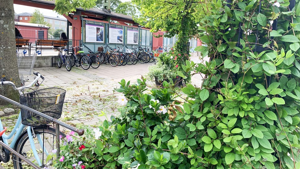 Parkerade cyklar ocg grönska vid Åkersberga station