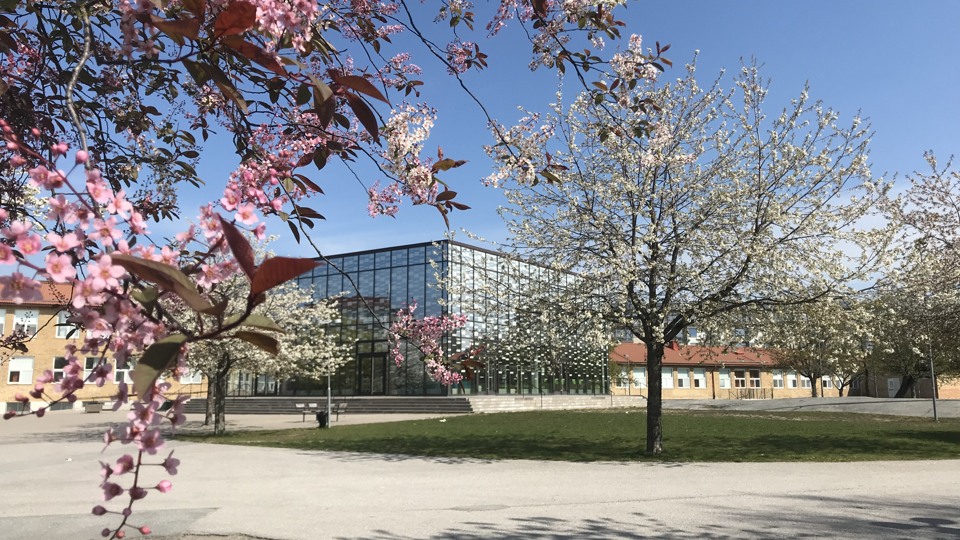 Österåkers gymnasium