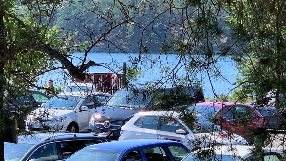 Bilar står huller och buller på en kaj vid vattnet. Man skymtar en parkeringsvakt.