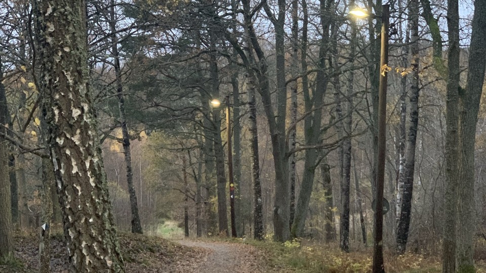 Tända gatlyktor vid en gång- och cykelväg