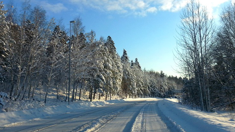 Bilden föreställer ett vinterlandskap med en plogad väg i mitten.