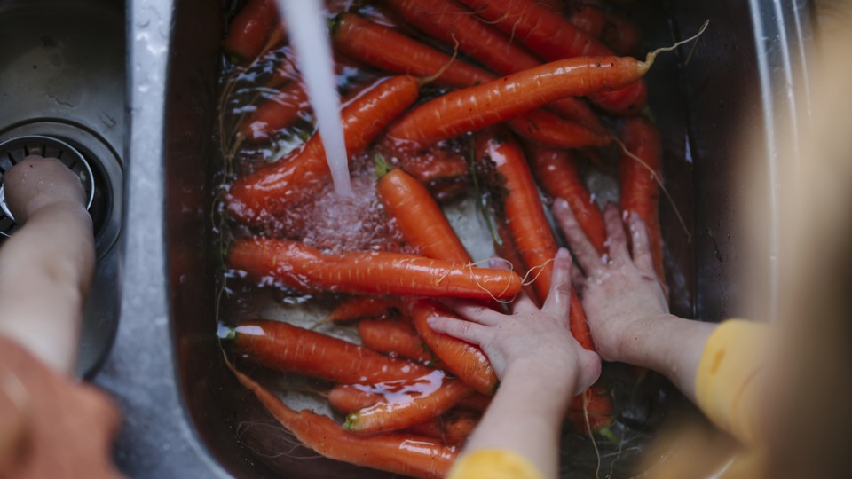 barnhänder sköljer morötter som ligger i en vask. Vatten rinner från kranen