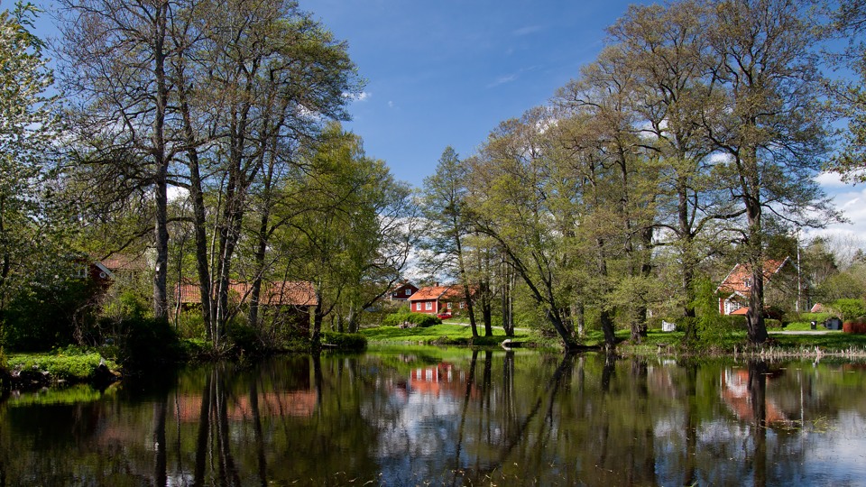 En vårig dag vid en liten sjö. Knopparna träden har börjat brista. Himlen är blå. Längst bort i bilden skymtar faluröda stugor.