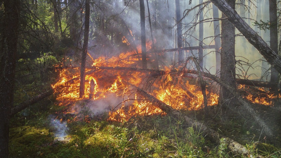 En eldsvåda har startat i gräset