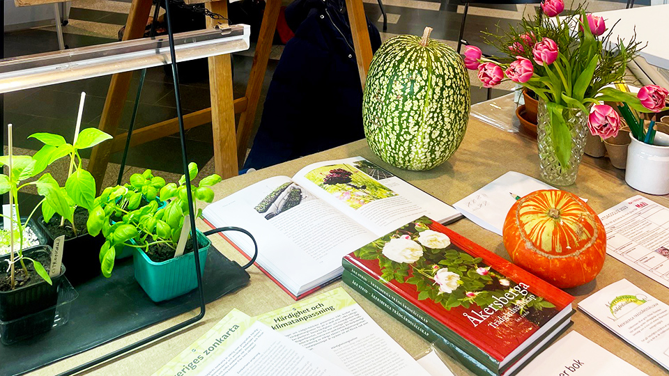 Bilden visar ett av utställarnas bord. På bordet står det ett litet växthus med växtbelysning och örter. En bukett med rosa tulpaner. Informationsmaterial och böcker.