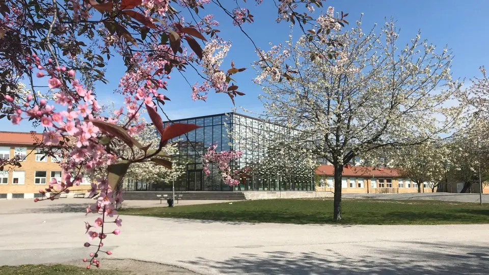 Elev med mörkt och och svart tröja ler. Lutad mot grå enfärgad vägg