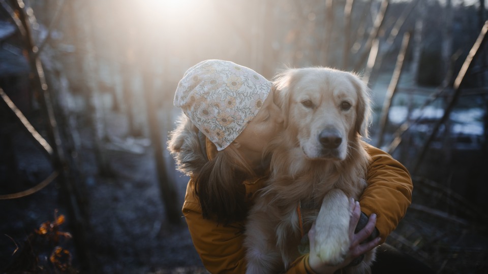 Kvinna som kramar om en hund, en golden retriever.