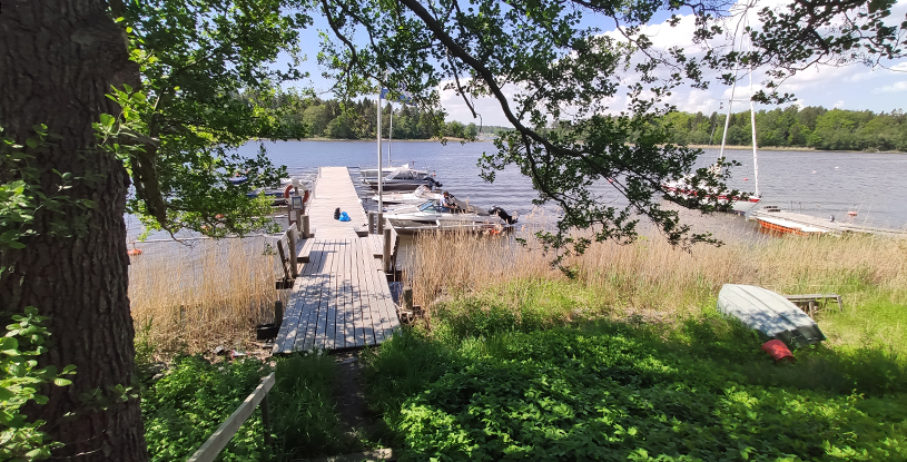 dejting selånger