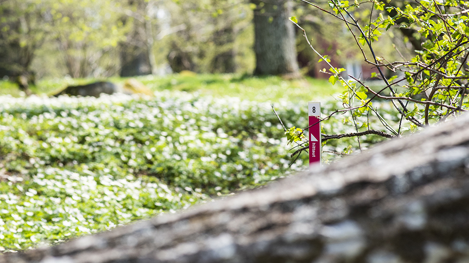 Från grönskande mark sticker en rosa och vit stav upp, en så kallad checkpoint. På staven står det Hittaut samt en siffra och en unik kod bestående av två bokstäver