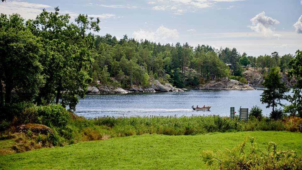 Sommargrönska med havet i fonden. En liten motorbåt åker förbi. Himlen är klarblå.
