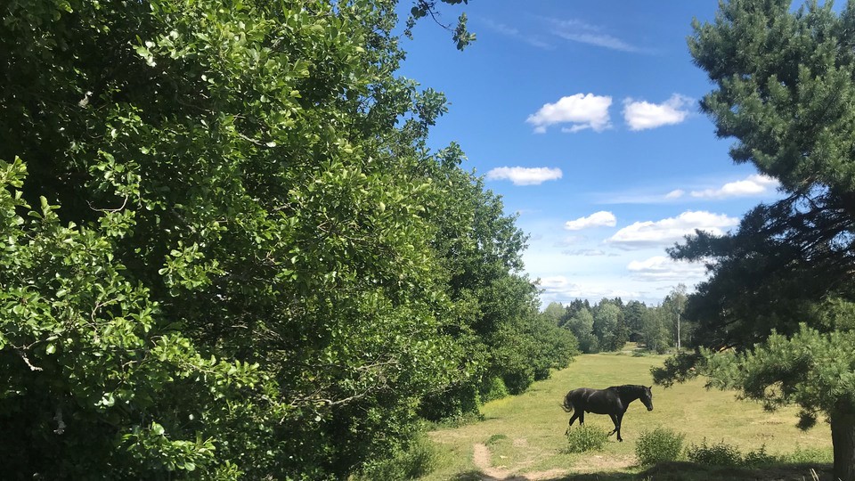 Kvinna som montör i en verkstad
