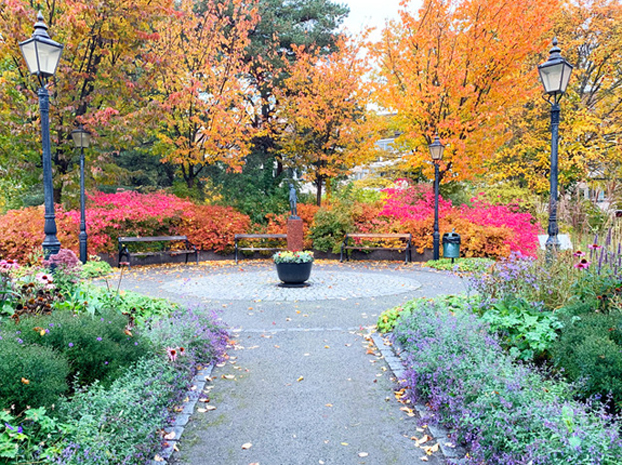 Åkar Pelles park