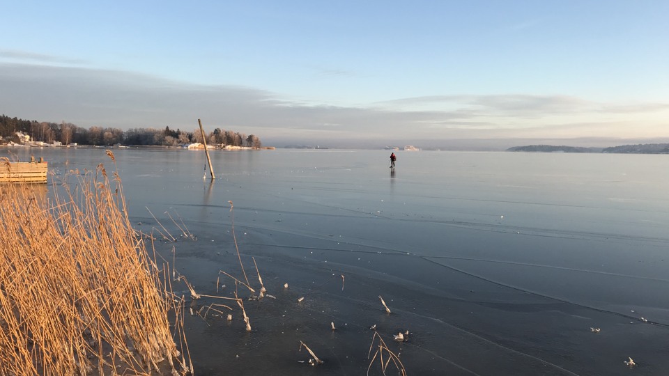 Skridskoåkare på is och en fastfrusen stolpe sticker upp genom isen. Strandkant och brun vass till vänster i förgrunden. 