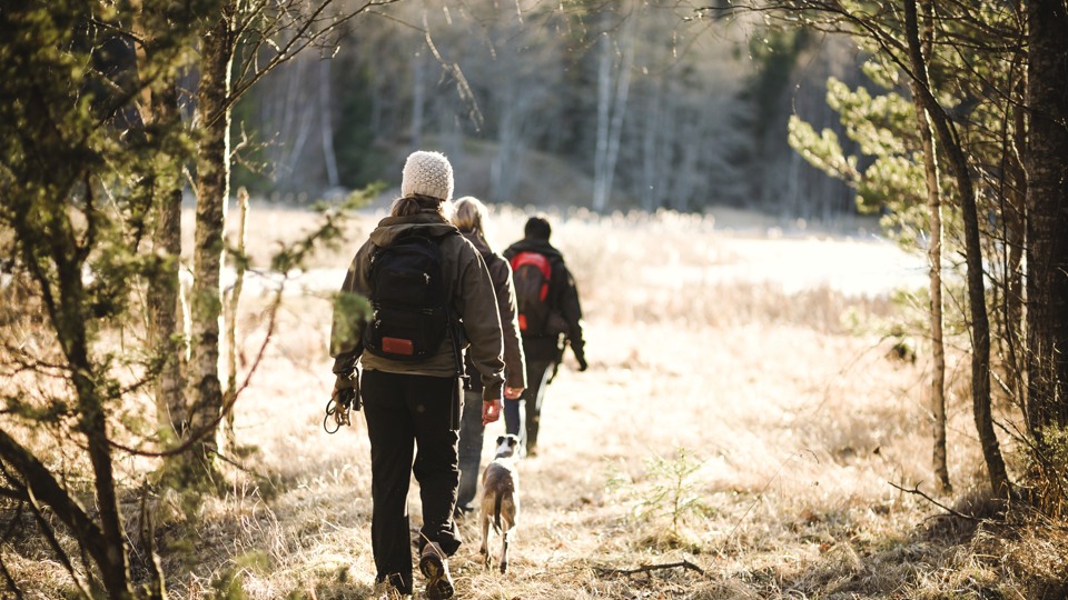 Tre personer med ryggsäckar vandrar i skogen. Till höger om de går en hund. Solsken syns längst bort i bild.