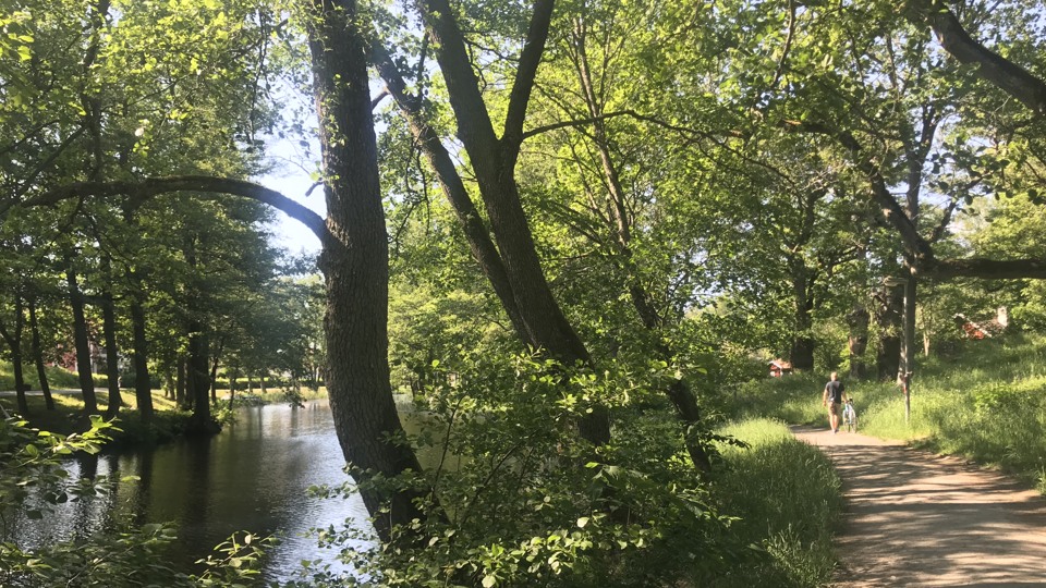 I förgrunden ser du trädstammar med grenar som lutar över kanalen. Till ill vänster i bild mellan grenarna ser du Åkers kanal. Till höger slingrar sig en gångväg där två personer syns bakifrån. 