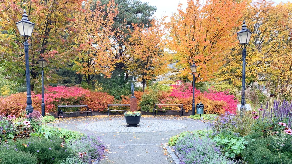 Åkar Pelles park med röda och orangefärgade växter. 