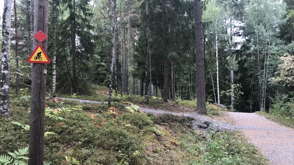 Bild på mountainbikespår, till vänster på en tallstam syns skylt med bild på cyklist. 