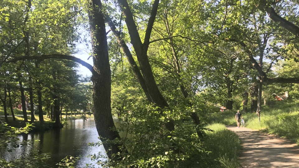 gångväg längs kanal med trädens grenar som hänger över vattnet.