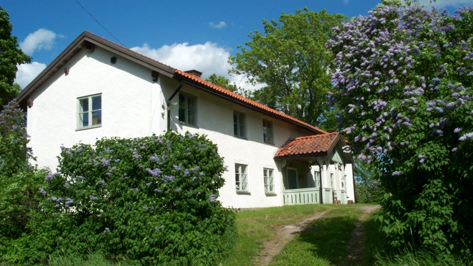 Hus med vit puts. framför blommar en syrenbuske.