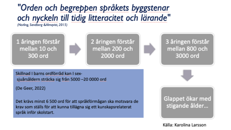 Barns ordförrådsutveckling. Tre rutor visar att ettåringar förstår 10–300 ord, tvååringar 200–2000 ord och treåringar 800–3000 ord. En pil leder vidare till texten ”Glappet ökar med stigande ålder”. Det finns även en faktaruta om stora skillnader i barns ordförråd och vikten av minst 6 500 ord inför skolstart.
