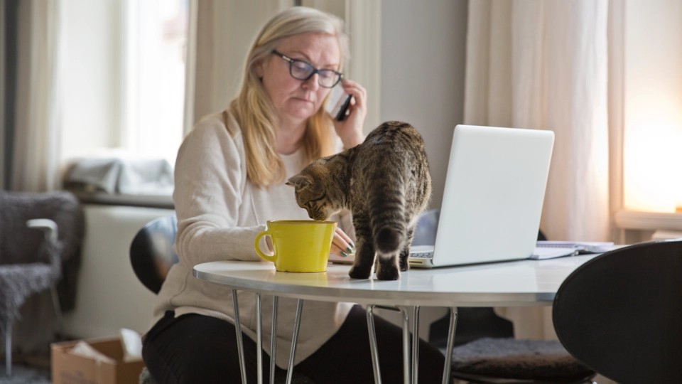 Nainen istuu pöydän ääressä läppärinsä kanssa ja puhuu puhelimeen. Kissa on pöydällä.