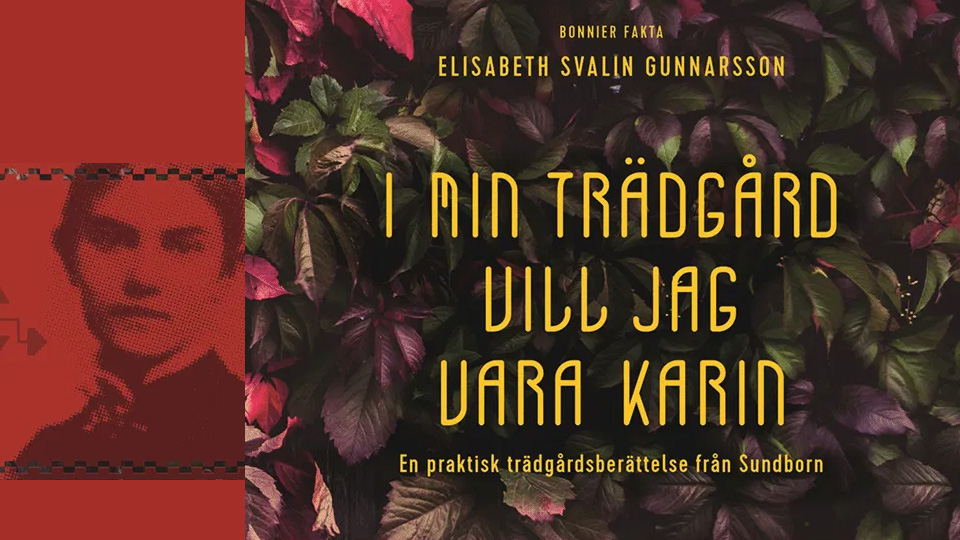 En bild av ett bokomslag med många blomblad och en porträttbild av en kvinna med håret i stram knut.