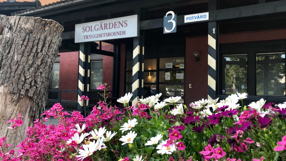 Huvudentrén till Solgården med skylt och blommor i förgrunden
