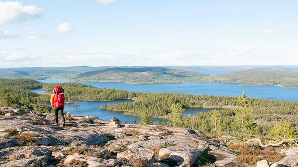 En storslagen vy över gröna skogar och sjöar. 
