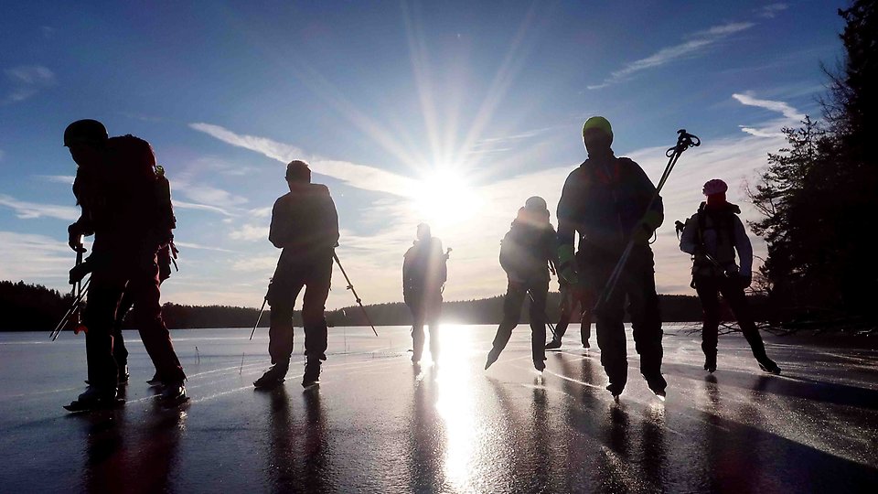 En grupp skridskoåkare på isen, fotograferade i motljus