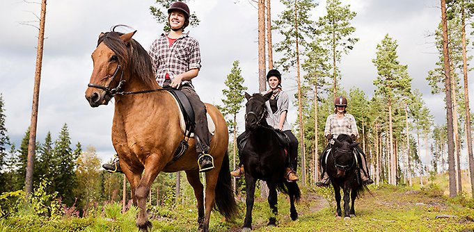 3 personer rider genom glesväxt skog