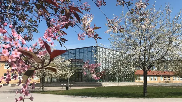 Österåkers gymnasium, byggnaden, glashuset, en fin dag.